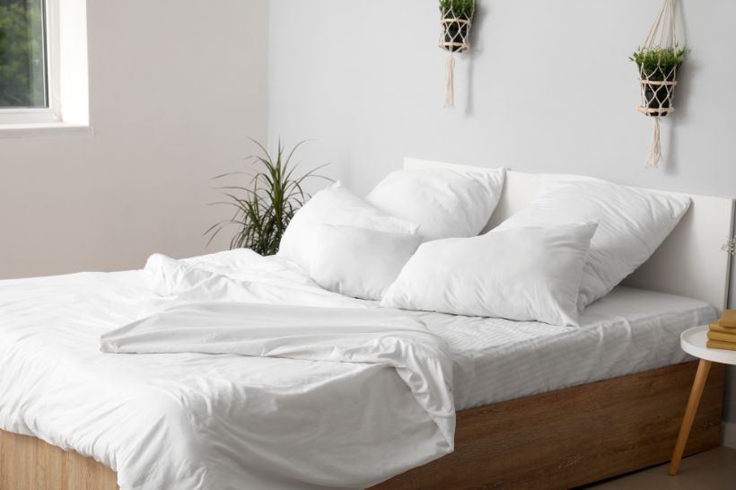 Milben im Bett erkennen